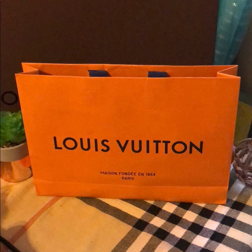 Louis Vuitton shopping bag